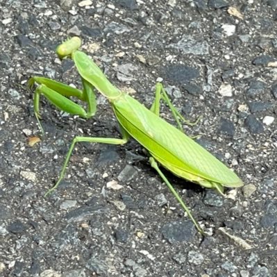 kentucky_1016_'s profile picture. 