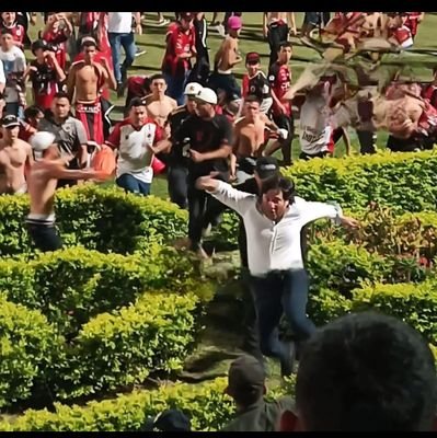 Presidente del DMGCD