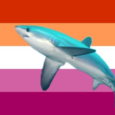 lmszhouse's profile picture. oceanologia - furg𓆝