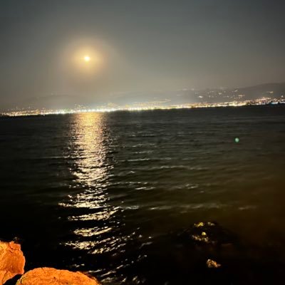 ekolgalatasaray's profile picture. 