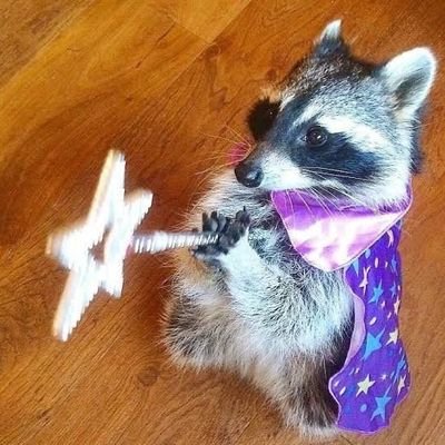 unholyavo's profile picture. She/Her 

I play games and stream sometimes

@blvn7s ❤️✨️