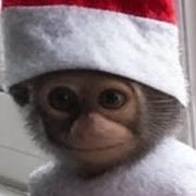 mdnarko's profile picture. Lovely bloke, with some shit going on 👊🏻Ank Spondylitis, Castleman Disease, + then some! Don’t wanna have to worry no more 😊 Check $monke on X TT & Inst.