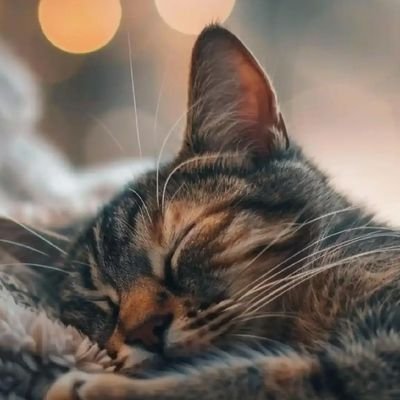 Jessica_Arthu's profile picture. A student, An explorer, in search of something