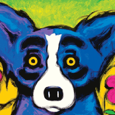 DanniFriedland's profile picture. 