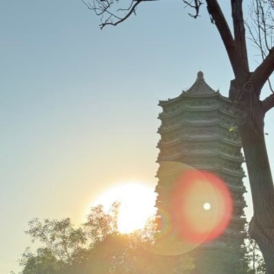 meme666you's profile picture. ぺきんまできた書学徒