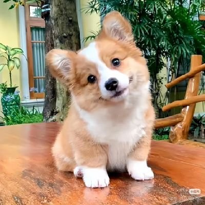 fanqie668's profile picture. 男z，温柔帅，成分复杂，小圈大圈ddlg，贵州四川广西广东，推止于推。