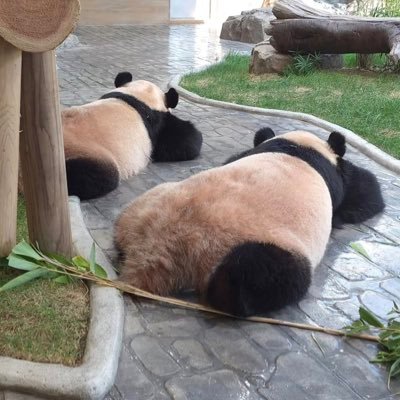 4awhile206115's profile picture. Music addict