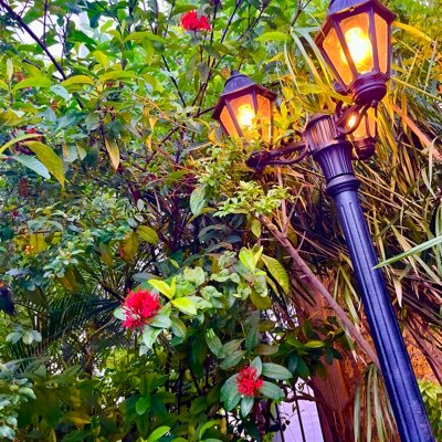 Mswilly25's profile picture. 