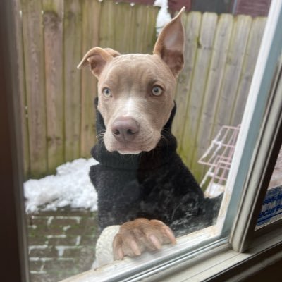 zeelee3D's profile picture. Games/Film/Tech/Philosophy/Art and random thoughts Our Fast Paced eSports Sports Shooter "Protoball" now Free on Steam! https://t.co/jPWHge5MRg