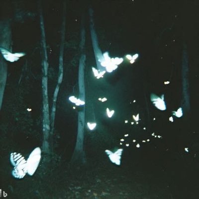 mikeysXO's profile picture. @GhostGaming | @TerrellVAL_