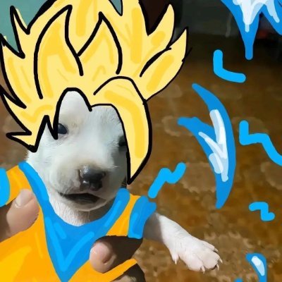 Watpump's profile picture. WHAT PUMP U TALKING BOUT?