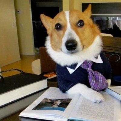corgilawyer's profile picture. Mr. Sweet Bun | the jury simply has no chance

CwyXruGWb58MoTTaQi8NkDdU2Uj3sgVoePCednoppump