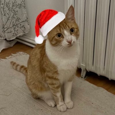 Verchtappen's profile picture. Max (Verstappen) fan account