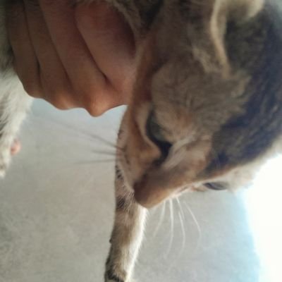 cultblood_'s profile picture. 