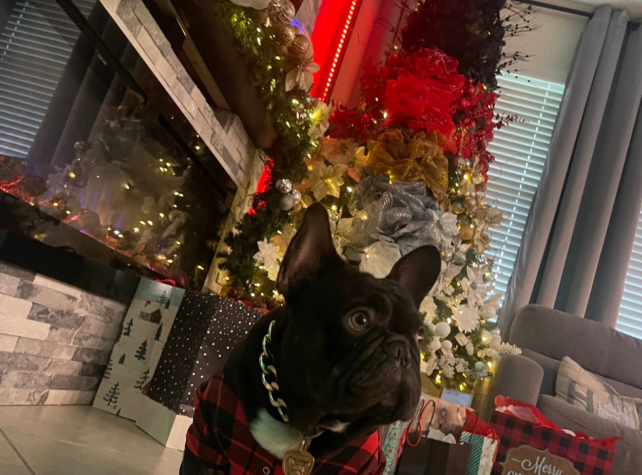 alfonso_xclsv's profile picture. 