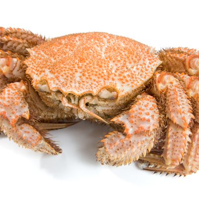 nekomaru328's profile picture. 全部幻覚チラシの裏。猫丸です。刀さに(大体♀)、FGOぐだちゃん、819夢。.5も見る。20↑ 、転載禁止、18歳以下ﾌｫﾛｰ非推奨　マロ：https://t.co/QzwBNr6JEi