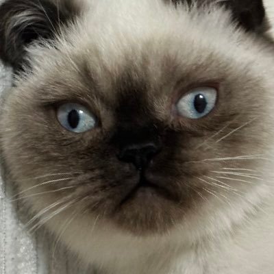 BofaNin29072's profile picture. 