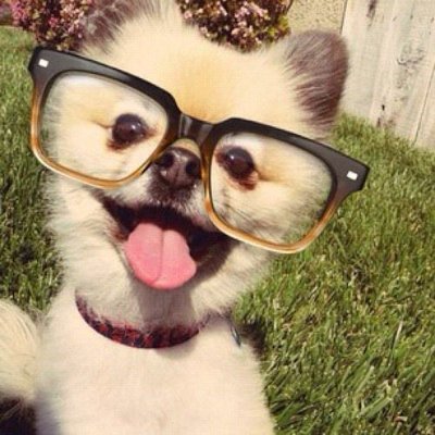 codeixx's profile picture. 13 | Learning & building projects | Rare ideas, simple code