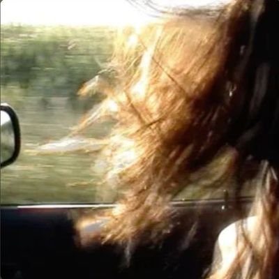 woocits's profile picture. ͏ ͏ ͏͏ ͏ ͏ ' Amnesty (I), 2016