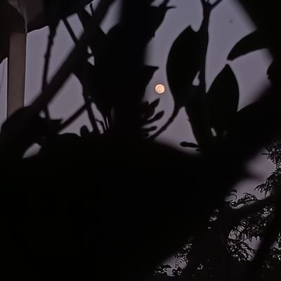 KpMandi57635's profile picture. Be Greatful for everything you already have 💟