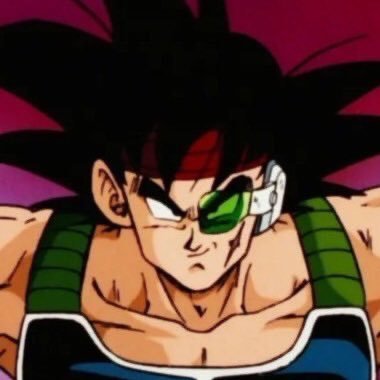 Bardock 🍉 Profile