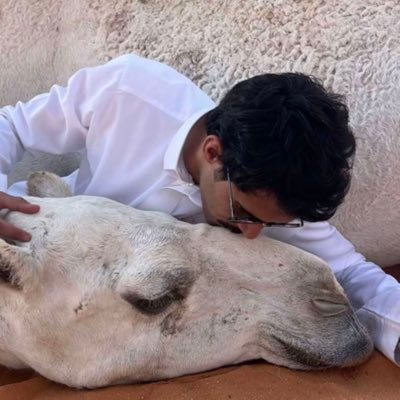 dlyiofeli's profile picture. ﴿ توفّني مُسلِماً وألحِقني بالصّالحِين ﴾