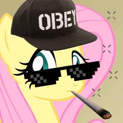 poniesinmyhead's profile picture. i love ponies and my friends ※\(^o^)/※ i post whenever i want sorry!
