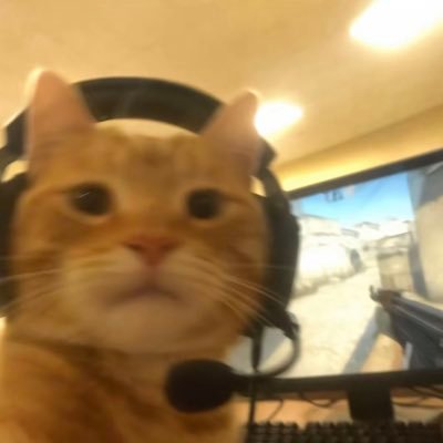 OmbleV's profile picture. 