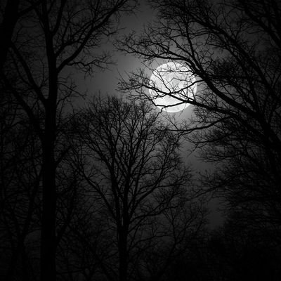 amen0757's profile picture. 