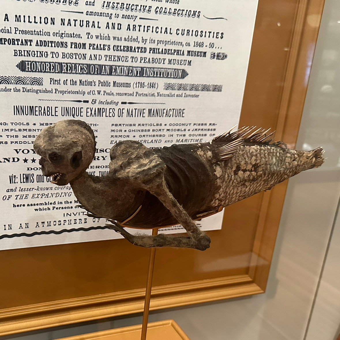 BigdaddyKarn's profile picture. 