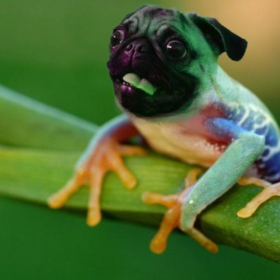 nullovering's profile picture. 