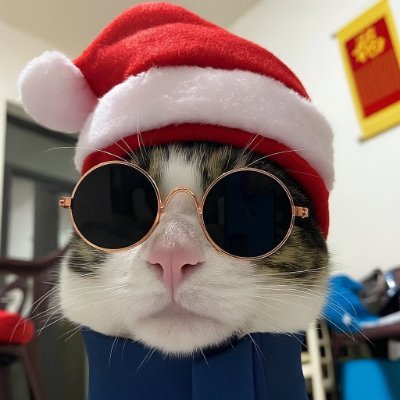 lukecodez's profile picture. cs | javascript | observer