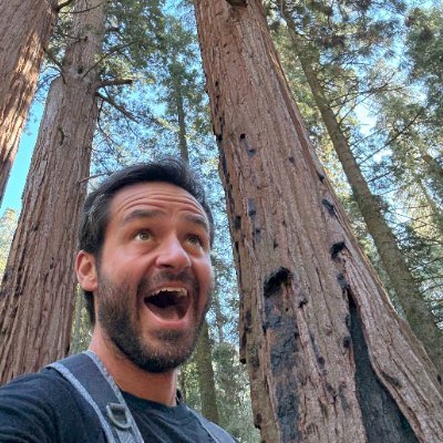 salomondrin's profile picture. Top Jack in The Box $jack investor! Super Cereal