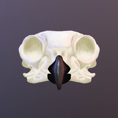 jennieisacookie's profile picture. a place for me to collect quotes and post thoughts