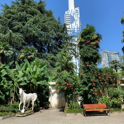 Salmonlllc's profile picture. 