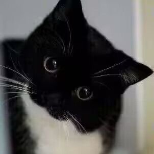 ninibb999386's profile picture. 