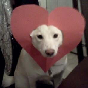 d3cizmeren's profile picture. 