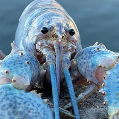 enzo98338543052's profile picture. 