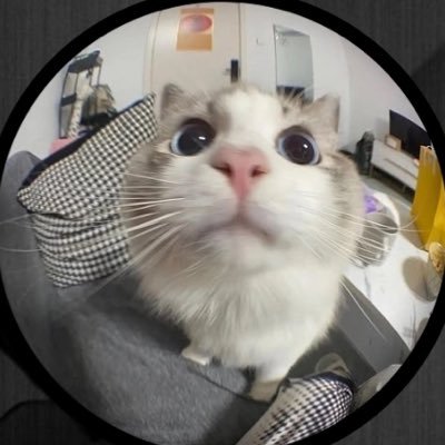 abike_abike2's profile picture. chelseaFC||music||books