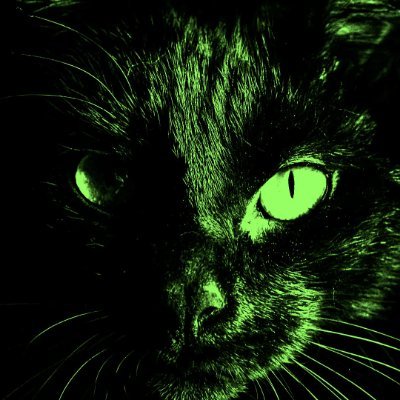 suslu7616's profile picture. 