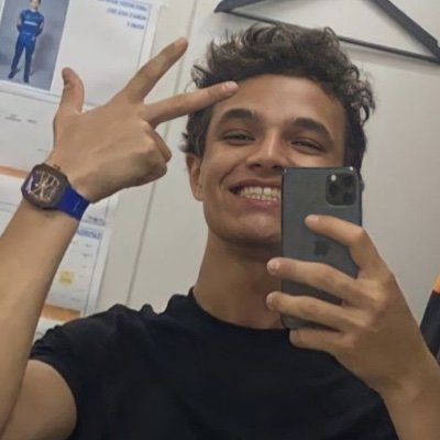 landoies's profile picture. if god had any mercy he would just send down a lightning strike to end my suffering as a f1 enjoyer