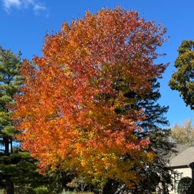 QBioAge's profile picture. Chandra Research Group. *views are our own*