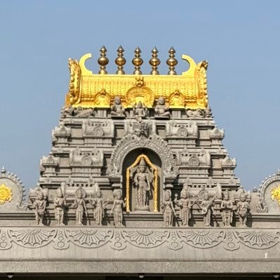 NiharVikas's profile picture. 