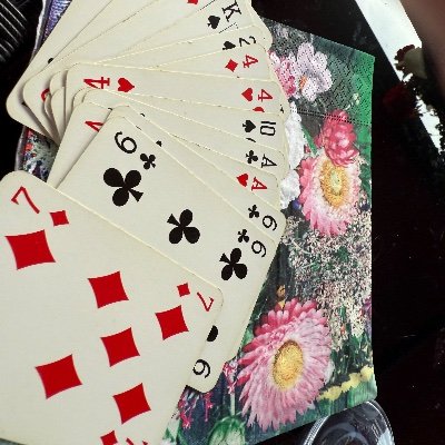 Bridgespieler's profile picture. 