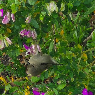 dollie75180's profile picture. 