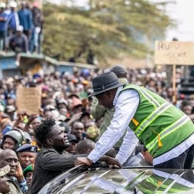 YaJacaranda's profile picture. 