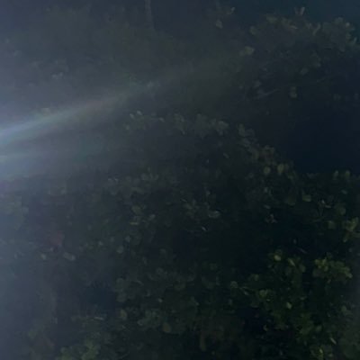 Gabisouzax1's profile picture. 