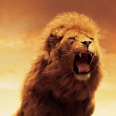 Santaroar_Sol's profile picture. 