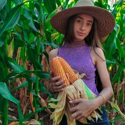 alinesensual3's profile picture. 🔥Arquivos raros do interior que ninguém devia ter visto
Só pros que chegam primeiro — últimas horas antes de sumir
Acesso exclusivo na DM