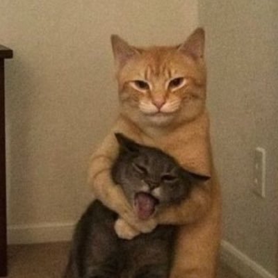 meftunazz's profile picture. 